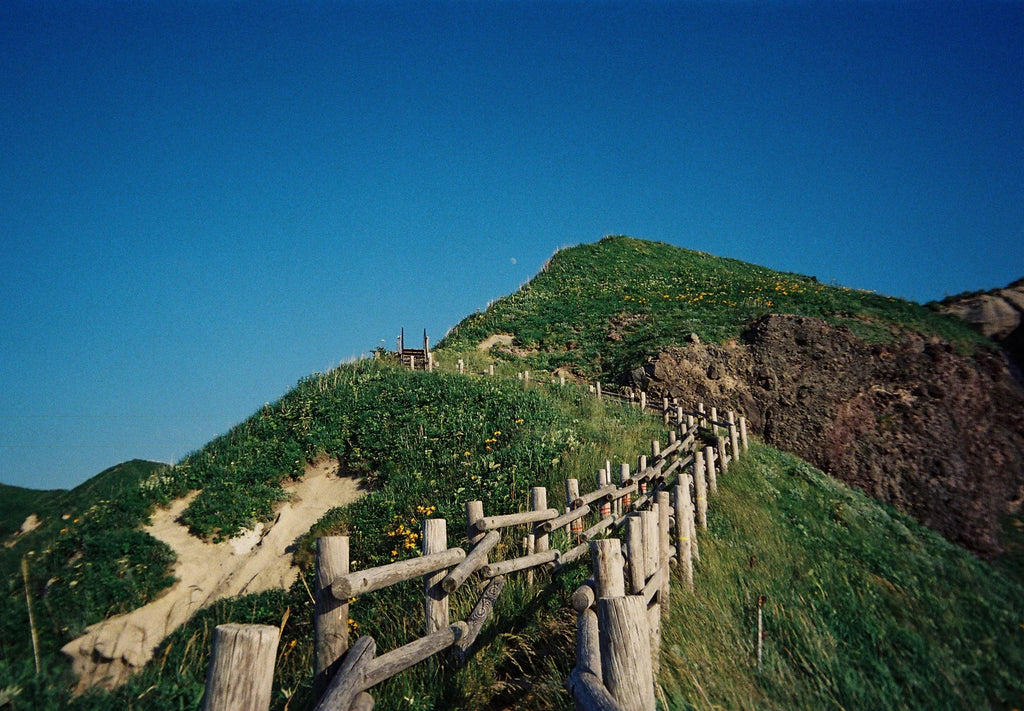 Kodak Snapic EC35 Film Kamera - Avocado Green