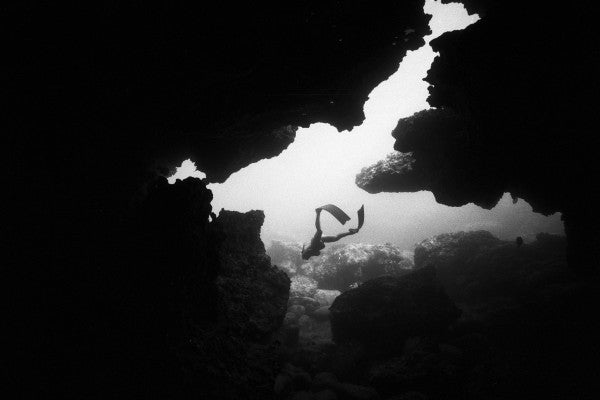 Kodak Tri-X 400
