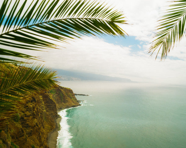 Kodak Gold 200 120mm