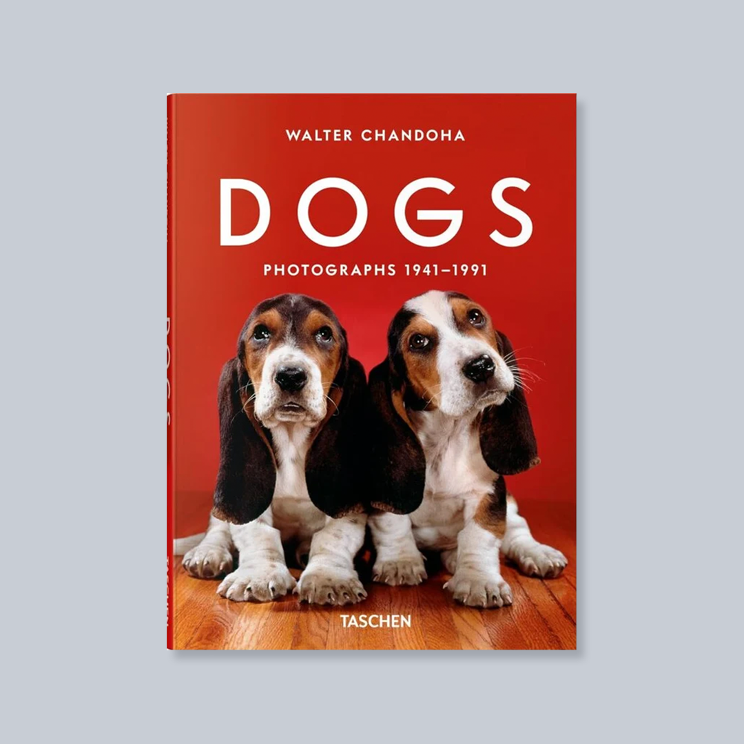 Dogs: Photographs 1941–1991