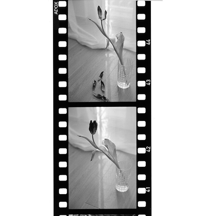 Adox Scala 50