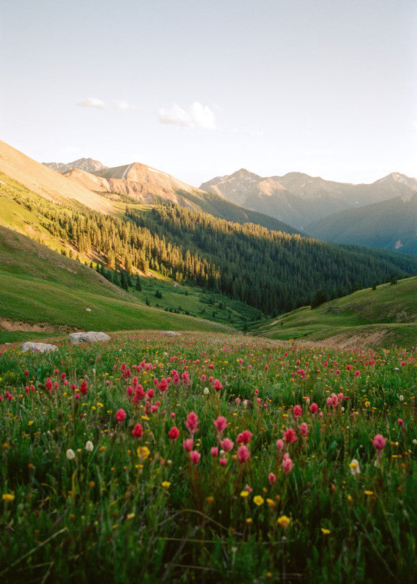 Kodak Portra 400 120mm