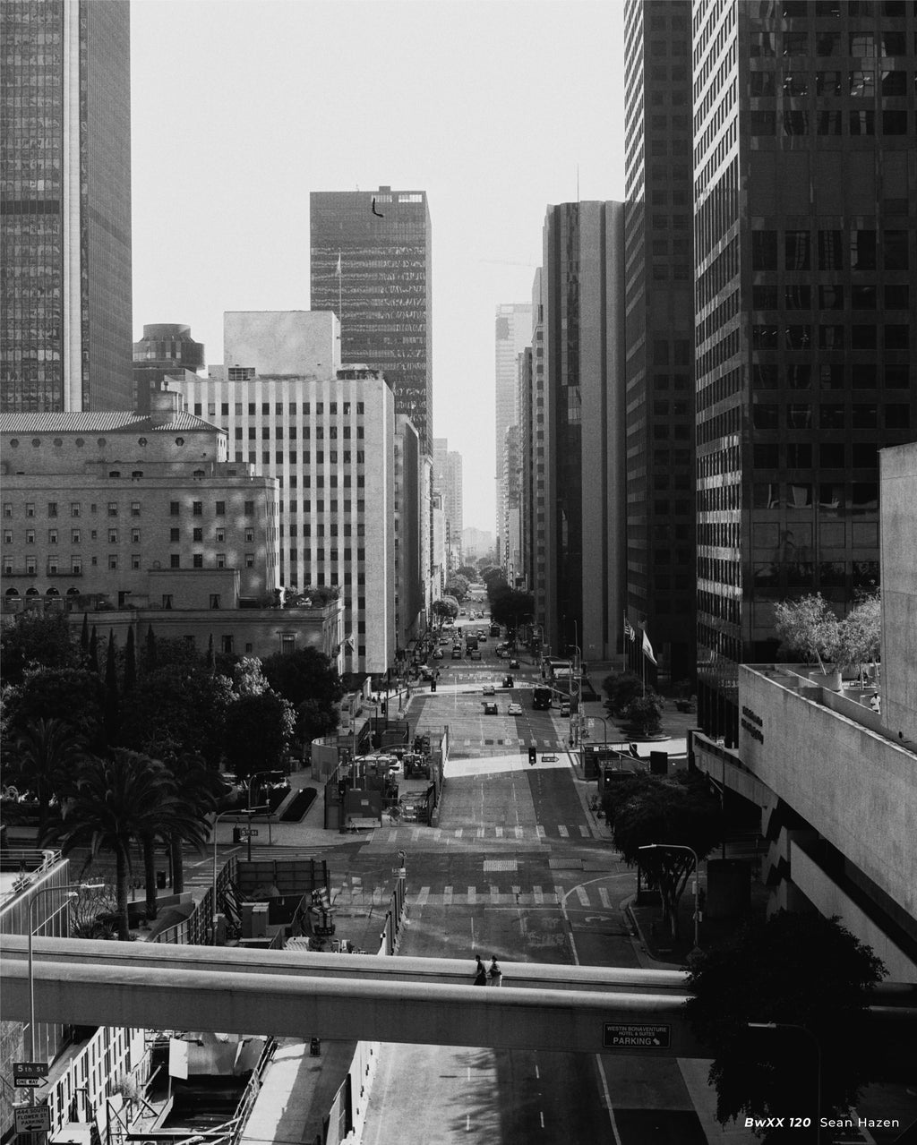 Cinestill BwXX 120mm