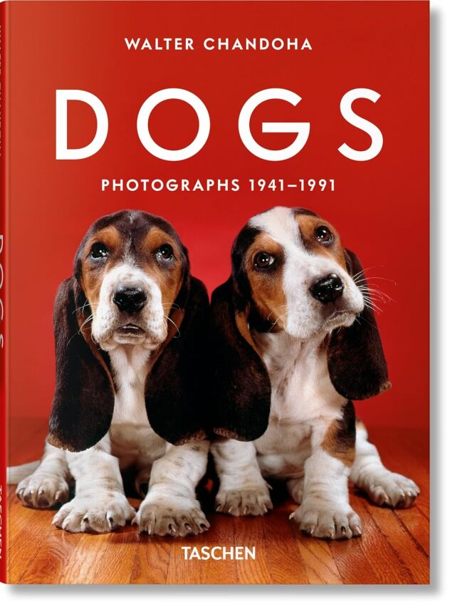 Dogs: Photographs 1941–1991