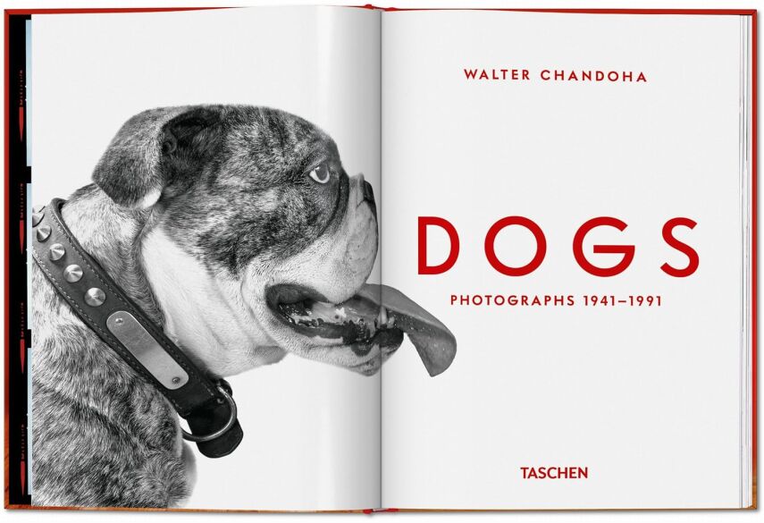 Dogs: Photographs 1941–1991