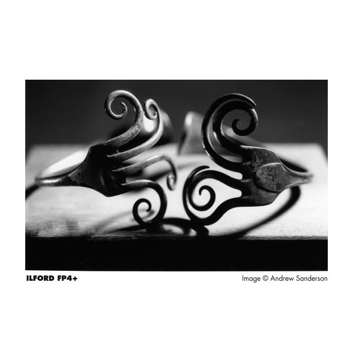 Ilford FP4 Plus 125 120mm