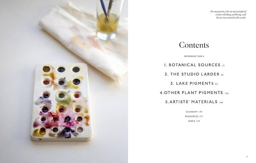 From Plant to Pigment