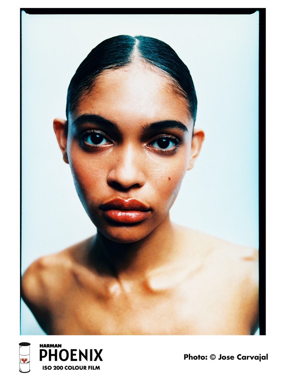 Harman Phoenix 200 120mm