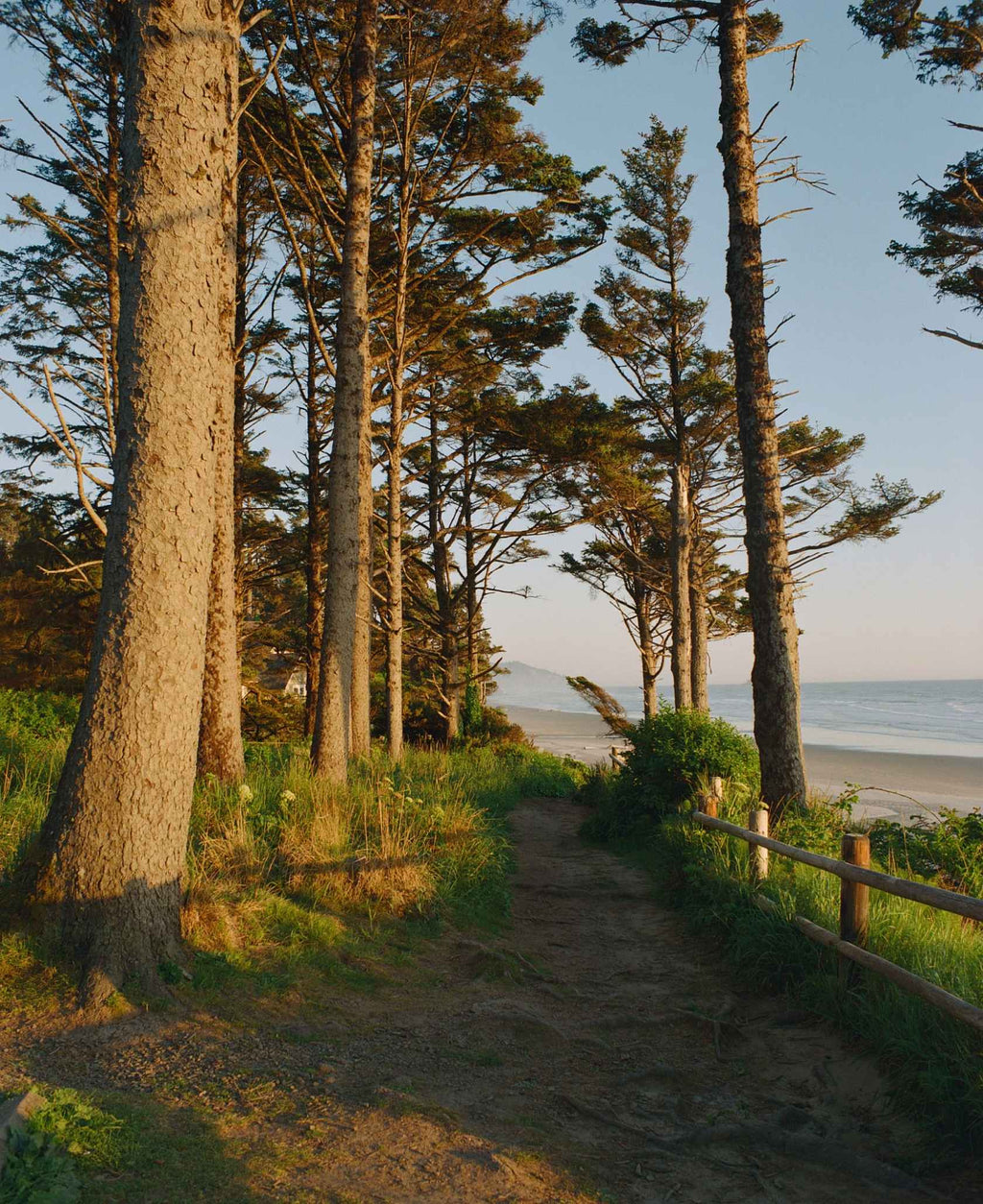 Kodak Eastman Ektacolor 800