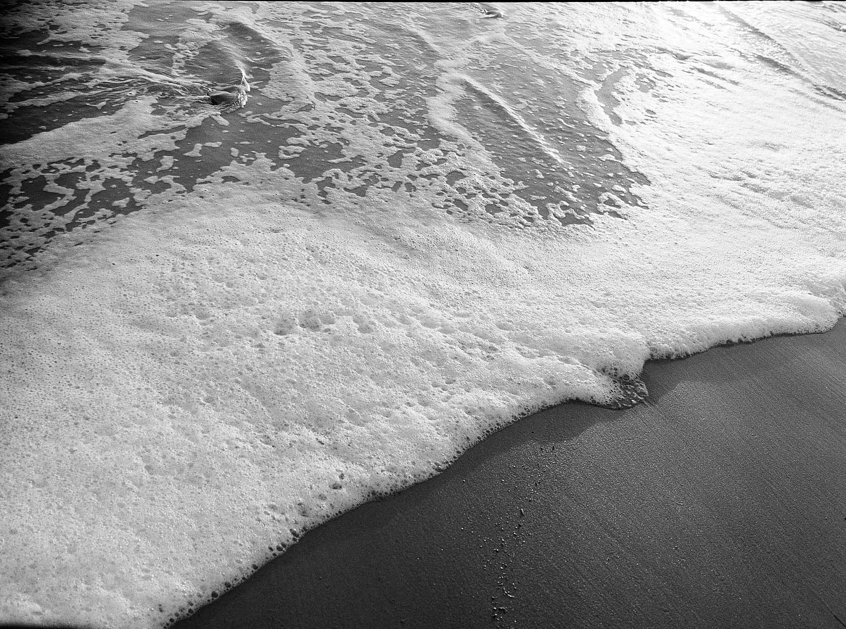 Kodak Eastman Tri-X 400