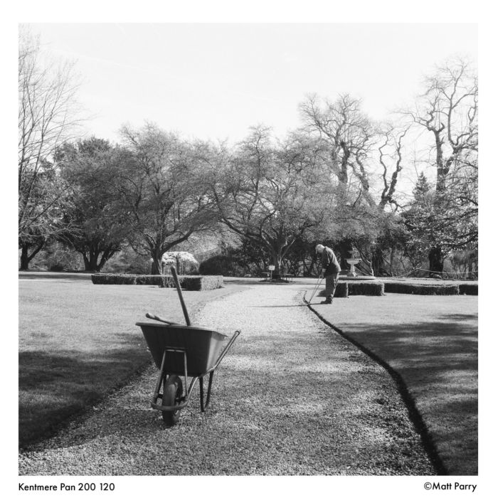 Ilford Kentmere 200 120mm