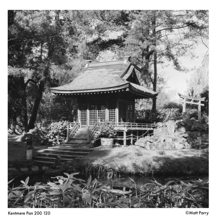 Ilford Kentmere 200 120mm