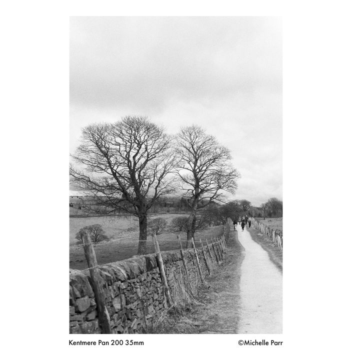 Ilford Kentmere 200
