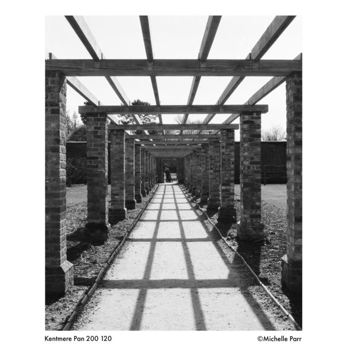 Ilford Kentmere 200 120mm