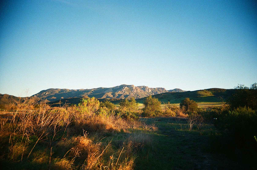 Kodak Eastman Ultramax 400