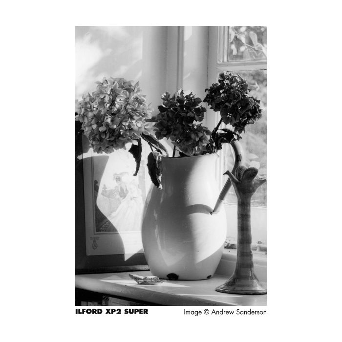 Ilford XP2 Super 400